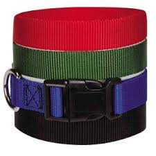 Guardian Collar (18-26")