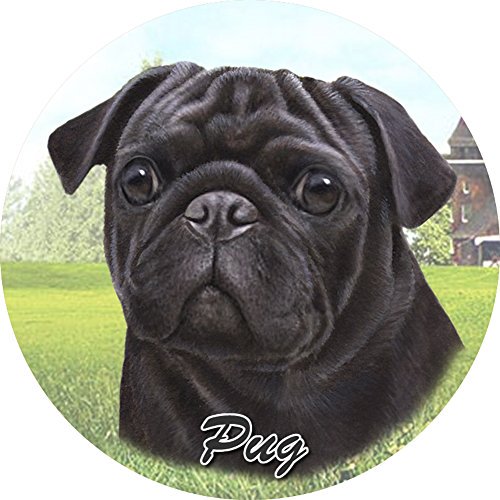 Pug (Black) Car Coaster