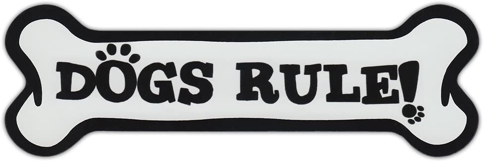 Dogs Rule Bone Magnet