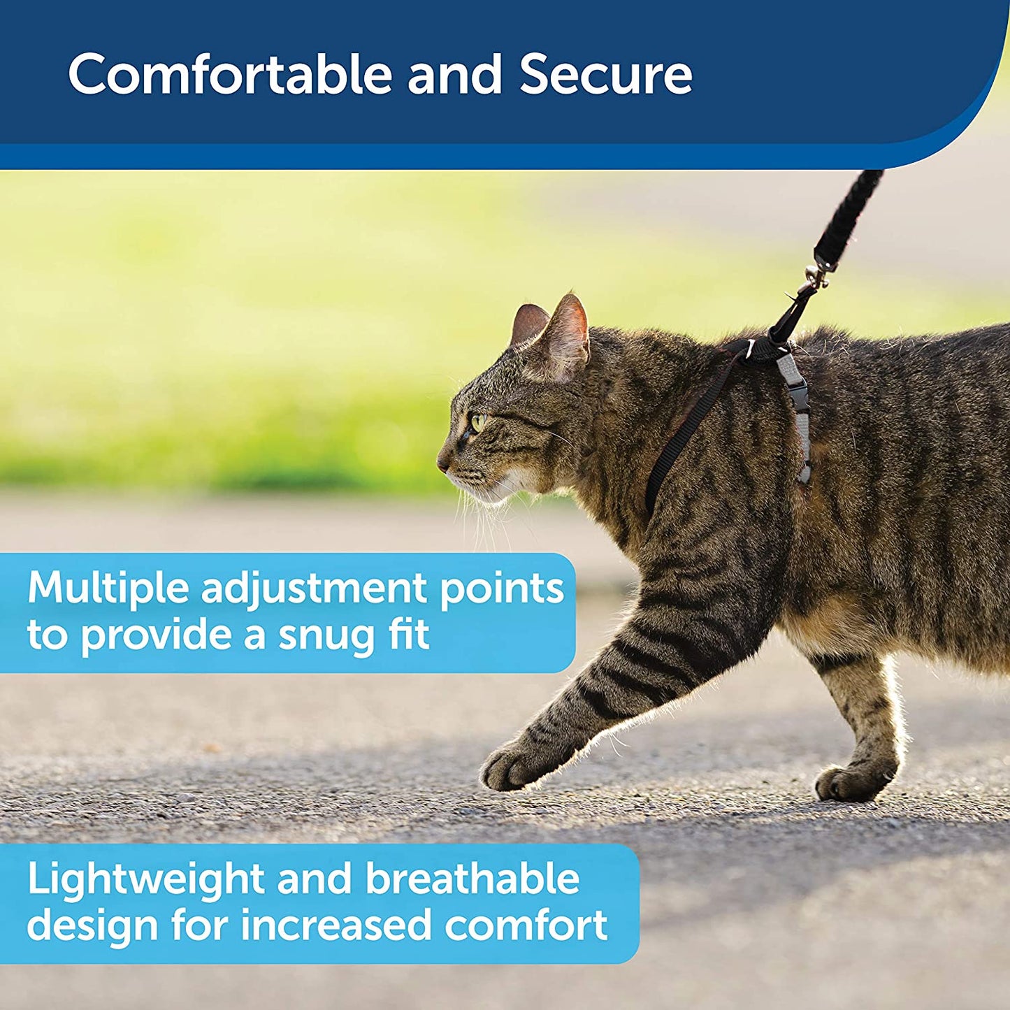 Kitty Nylon Cat Harness & Bungee Leash, Black/Silver