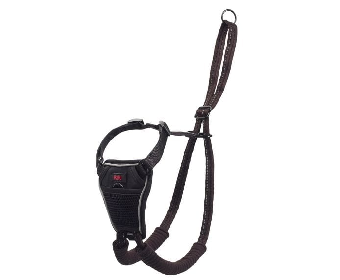 Halti Harness