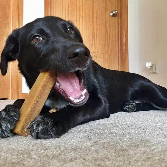 Himalayan Yak Cheese Dog Chews