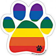 Rainbow Paw Magnet