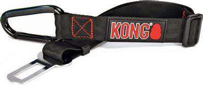 Seat Belt Tether for Dogs