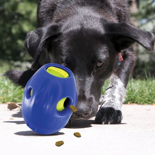 Tikr Treat Dispenser by Kong