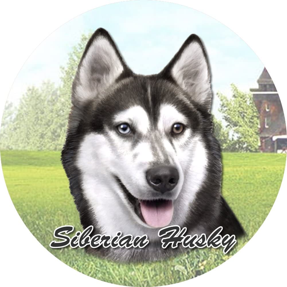 Siberian Husky Car Coaster